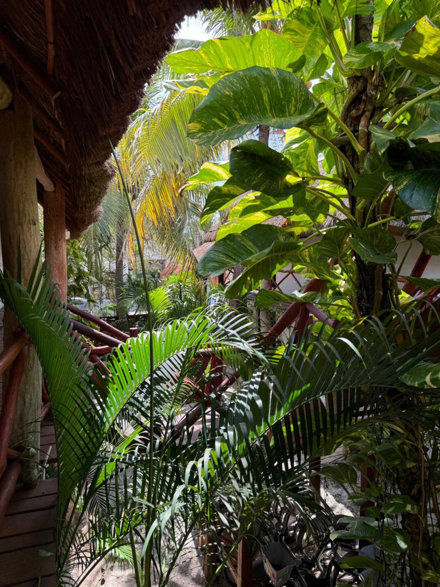 Kin Ha Tulum Hotel 外观 照片
