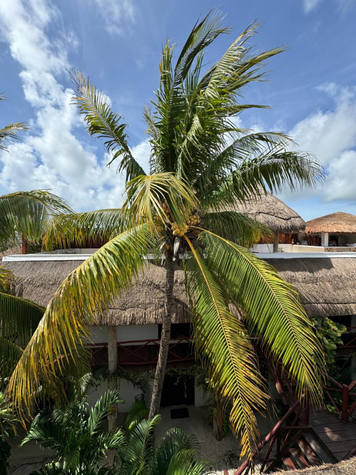 Kin Ha Tulum Hotel 外观 照片